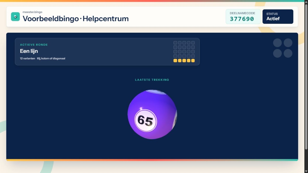 Het publieke tv-scherm van de voorbeeldbingo.